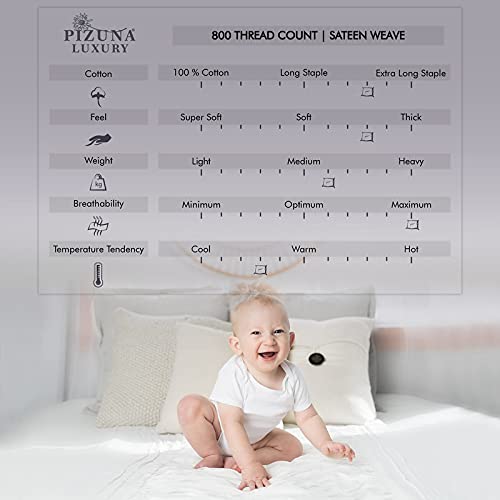 Pizuna Pure 100% Cotton Pillow Cases King Size Set of 2 Baby Blue, 800 Thread Count Long Staple Cotton Thick Sateen with Stylish 4inch Hem (Combed Baby Blue Cotton Pillow Cases King)