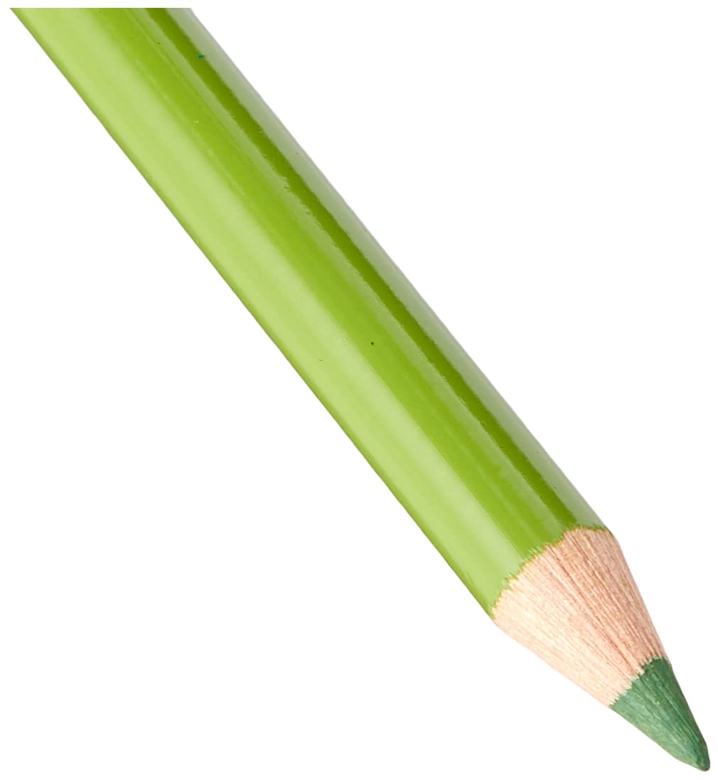 Faber-Castell Art & Graphic Polychromos Colour Pencil, (199), Black, for Art, Craft, Drawing, Sketching, Home, School, University, Colouring