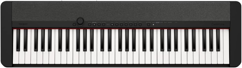 Casio Ct S1 Portable Piano Keyboard, Black