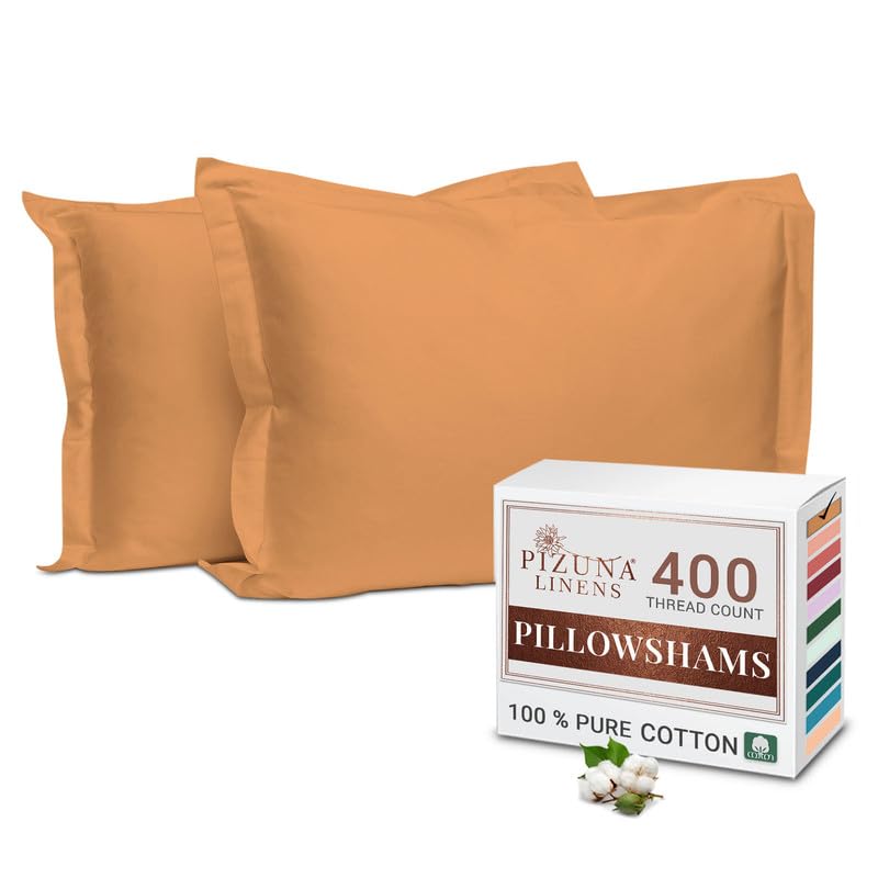 Pizuna Pure 100% Cotton Pillow Shams King Size Set of 2 Baby Blue, Luxurious 400 Thread Count Long Staple Cotton Sateen with Envelope Closure (Combed Baby Blue Cotton Pillow Shams King)
