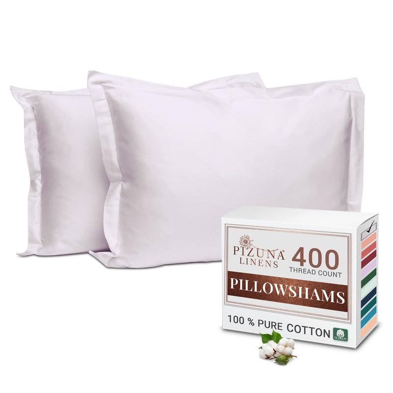 Pizuna Pure 100% Cotton Pillow Shams King Size Set of 2 Baby Blue, Luxurious 400 Thread Count Long Staple Cotton Sateen with Envelope Closure (Combed Baby Blue Cotton Pillow Shams King)