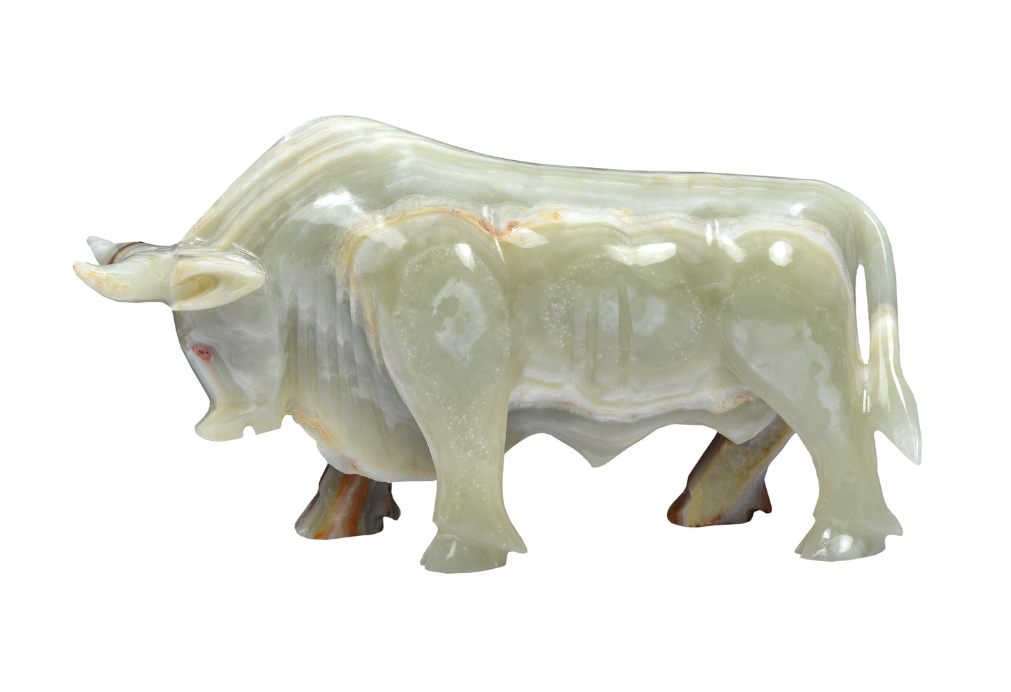 lavish-touch-sinxum-bull