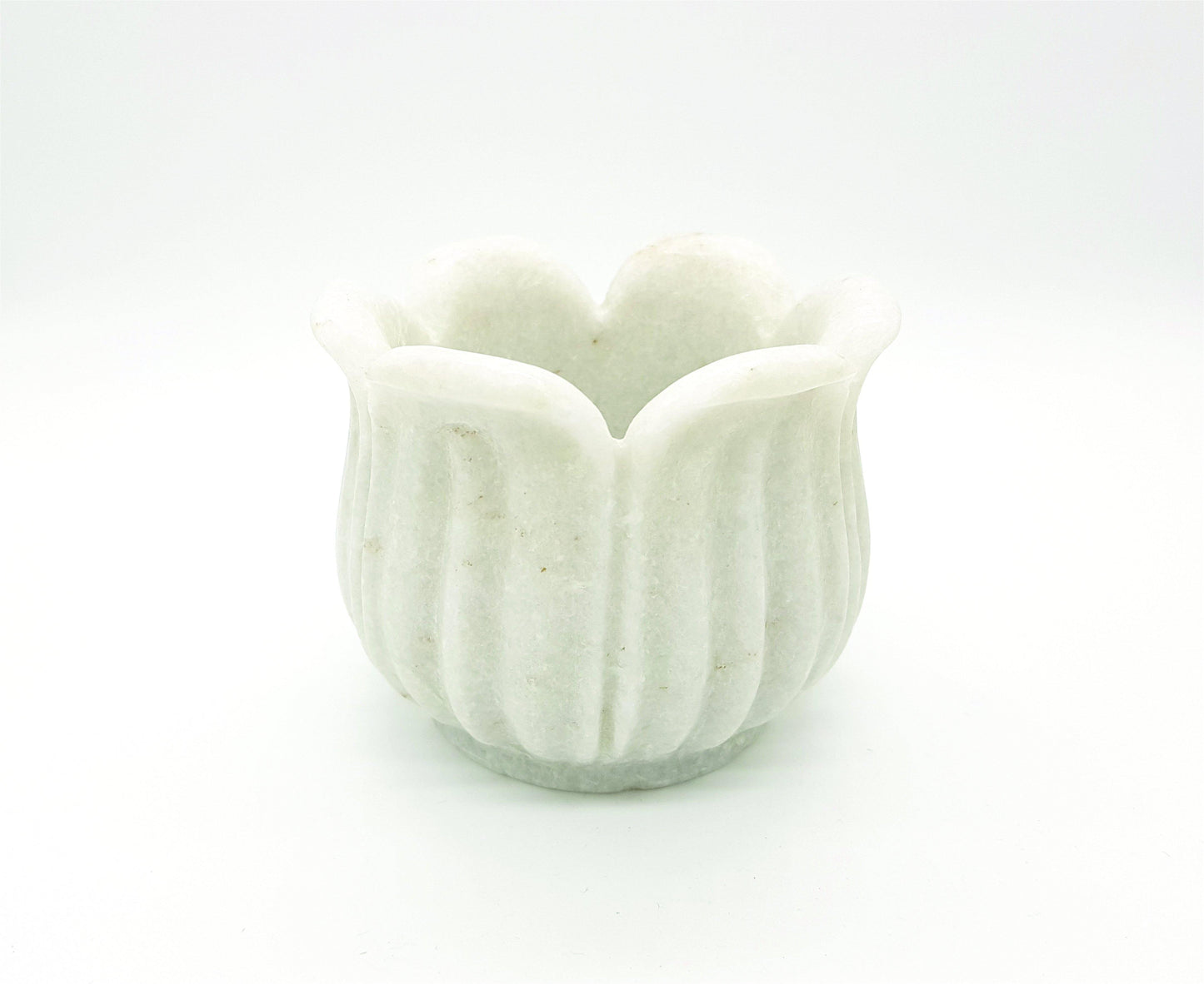 lavish-touch-dhockers-bowl-big