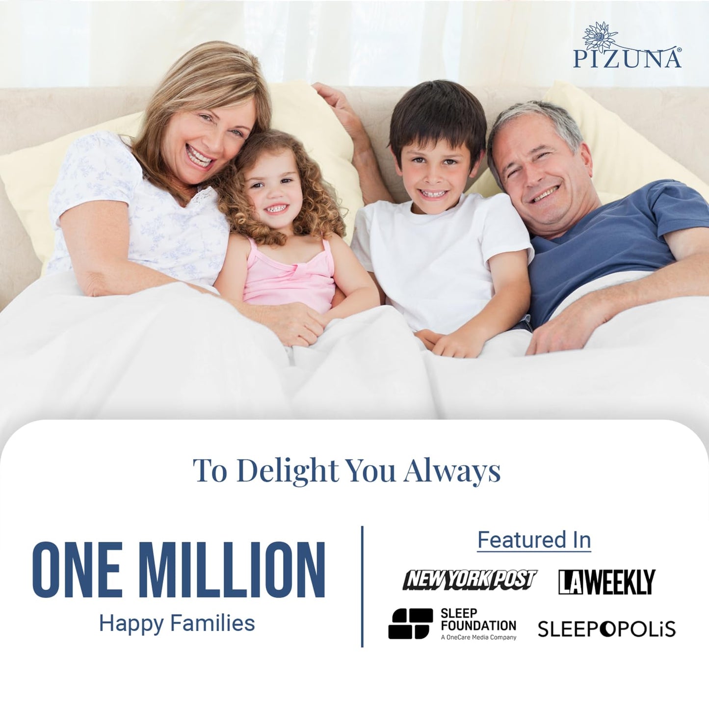 Pizuna 100% Luxury Cotton King Size Pillow Case Dark Blue, 1000 Thread Count 100% Long Staple Cotton Sateen Pillowcase, Pillow Covers with Stylish 4" Hem (Combed Cotton King Pillowcase Set of 2)