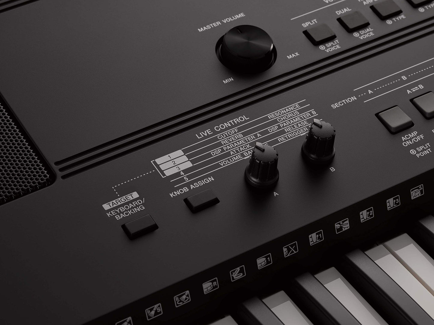 Yamaha Digital Keyboard - A Versatile, Entry-Level Keyboard with 61 Touch-Sensitive Keys, 622 Instrument Voices, Black,PSR-E373